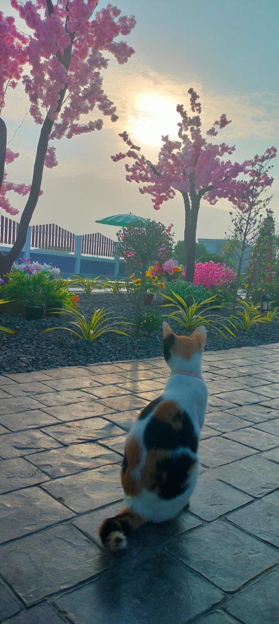 Poonsap Homestay نان المظهر الخارجي الصورة